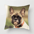 Axyaa French Bulldog Cushion Cover - 45X45CM