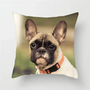 Axyaa French Bulldog Cushion Cover - 45X45CM