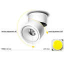 Axyaa COB LED Ceiling Lights for Kitchen, Adjustable Angle, Black/White Lampshade