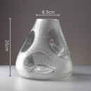 Axyaa Glass Vase Hydroponic Flower Pot Transparent Modern Decor
