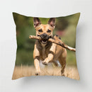 Axyaa Dog Pig Pattern Polyester Throw Pillow Cover Home Decor Pillowcases 45 x 45cm