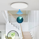 Axyaa Smart Sensor LED Ceiling Chandelier for Corridors, Aisles, and Stairs