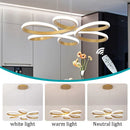 Axyaa Modern Iron Ceiling Chandelier Pendant Lights for Home Decor and Indoor Fixtures