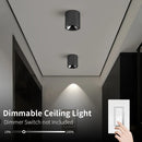Axyaa Modern LED Spot Light Ceiling Lamp for Home Decor.