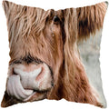 Axyaa Highland Cat Cow Yak Animal Pillowcase for Stylish Home Decor