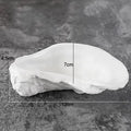 Axyaa White Ceramic Oyster Snack Dish Set