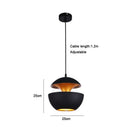 Axyaa Apple Pendant Lamp: Simple European Art LED Lighting for Home & Cafe