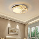 Axyaa Heart Crystal LED Ceiling Light - Stainless Steel Fixture