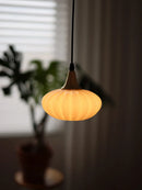 Axyaa Japanese Glass Pendant Lights Scandinavian Luxury Pendant Lamp