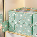 Axyaa Green Bra and Underwear Organizer Drawer Divider