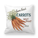 Axyaa Decorative Fruit & Vegetable Cushion Cover Set