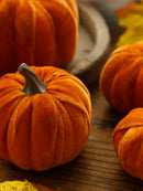 Axyaa Velvet Pumpkin Decoration Set for Fall Home Decor & Gifts