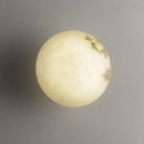 Axyaa Marble LED Wall Light in Gold, Black, or Copper Base for Indoor Living Room, Bedroom