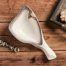 Axyaa Ceramic Sushi Sashimi Plate Set for Japanese Restaurant, Hotel - Cold Dish, Oyster Shell, Cuttle Fish