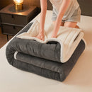 Axyaa Cozy Coral Fleece Blanket - Soft Fluffy Velvet Throw for Bed & Sofa