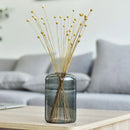 Axyaa Glass Vase Aromatherapy Bottle - Desktop Decor & Hydroponic Flower Pot