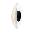 Axyaa Vertigo LED Silk Wall Sconce for Minimalist Living Room & Bedroom