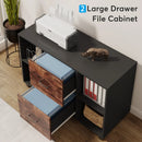 Axyaa 2 Drawer Mobile File Cabinet with Shelves and Rolling Wheels
