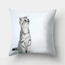 Cute Cat Print Cushion Cover for Sofa Decor by Axyaa