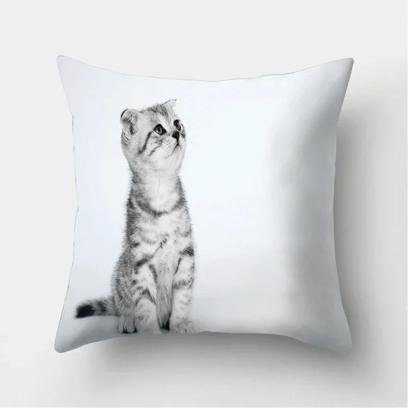 Cute Cat Print Cushion Cover for Sofa Decor by Axyaa