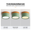 Axyaa LED Macaron Ceiling Downlight for Indoor Living Room - Nordic Spot Light