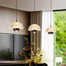 Axyaa Black LED Pendant Light Chandelier for Bedroom Living Room - Nordic Decor