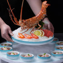 Axyaa Ceramic Lobster Dish Platter Set for Seafood and Sashimi Presentation