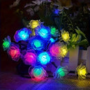 Axyaa Rose LED Outdoor Garden Decorative String Lights