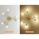 Axyaa LED Chandelier Ceiling Light for Kitchen Dining Livingroom