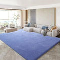 Axyaa Gray Coral Fleece Living Room Rug for Sofa, Coffee Table, Kids Bedroom