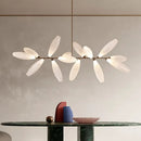 Axyaa Luxury Glass Chandelier for Indoor Spaces