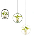 Modern LED Plant Pot Pendant Lights for Home Decor by Axyaa
