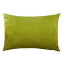 Axyaa Soft Velvet Cushion Cover - Breathable Home Decor Pillowcase for Living Room