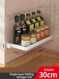 Axyaa Kitchen Storage Rack Fridge Organizer Clear Tray Food Spice Organizer