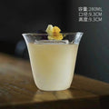 Axyaa 280ml Whisky Glass Juice Cocktail Glass Ultra Light High Quality