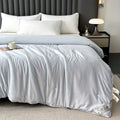 Axyaa Mulberry Silk Comforter, Winter Warm Silk Duvet Quilt Blanket
