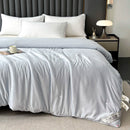 Axyaa Mulberry Silk Comforter, Winter Warm Silk Duvet Quilt Blanket