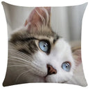 Axyaa Black Cat Bubble Pillow Cases - Premium Animal Cushion Cover for Home Decor