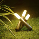 Axya Portable Camping Light: USB Rechargeable Desktop Atmosphere Light