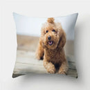 Cute Pug Bulldog Pillowcase for Living Room Decor - Axyaa Home Decor