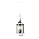 Axyaa Black Copper Cylinder Glass Birdcage Chandelier Pendant Light