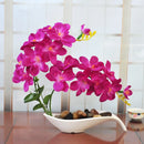 Axyaa Simulated Butterfly Orchid Ceramic Flowerpot Set for Home Decoration