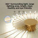 Axyaa Firework Decor LED Ceiling Lights for Living Room Bedroom Kitchen, Nordic Indoor Home Fixture
