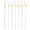 Axyaa Glass Straws: Reusable Transparent Drinking Straws for Tea, Coffee, and Cocktails