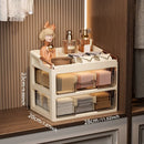 Axyaa Multi-layer Underwear Organizer Box - Socks & Underwear Storage Cabinet