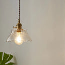 Axyaa Copper Glass LED Pendant Lamp for Home Decor & Lighting