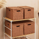 Axyaa Imitation Rattan Woven Storage Box with Lid - Home Organizer Basket
