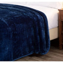 Axyaa 9 Lbs Korean Style Faux Mink Blanket, Silky Soft Plush Raschel Mink - 85 inches