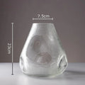 Axyaa Glass Vase Hydroponic Flower Pot Transparent Modern Decor