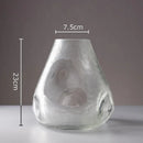 Axyaa Glass Vase Hydroponic Flower Pot Transparent Modern Decor